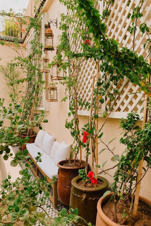 Riad Maison 24 มาร์ราเกช ภายนอก รูปภาพ