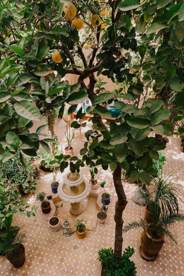 Riad Maison 24 มาร์ราเกช ภายนอก รูปภาพ