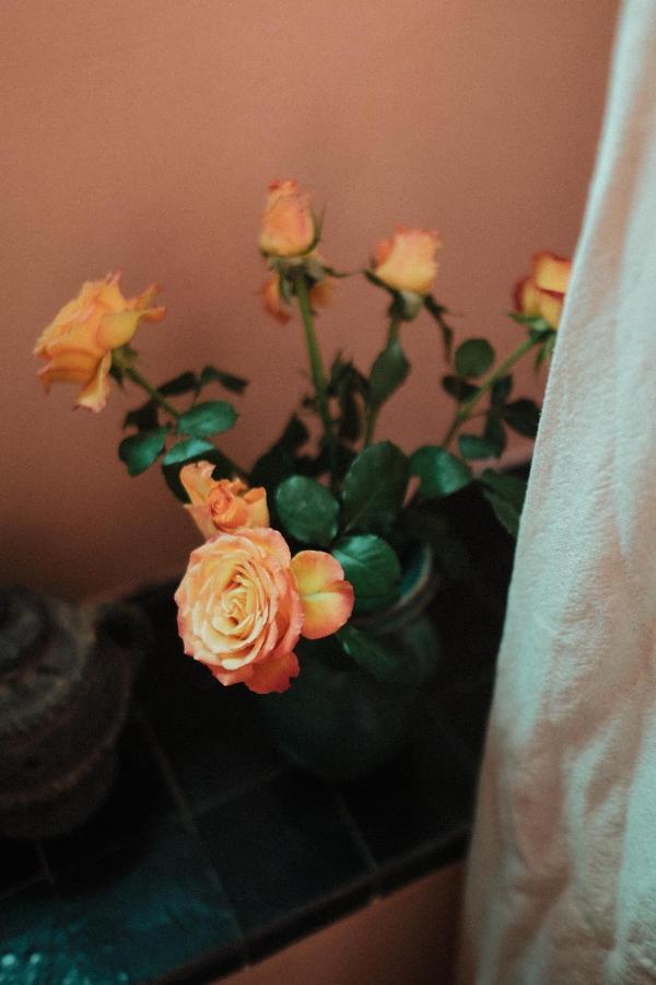 Riad Maison 24 มาร์ราเกช ภายนอก รูปภาพ